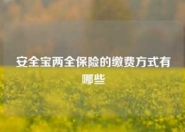 安全宝两全保险的缴费方式有哪些