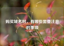 购买域名时，有哪些需要注意的事项