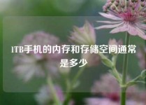 1TB手机的内存和存储空间通常是多少