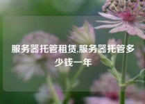 服务器托管租赁,服务器托管多少钱一年