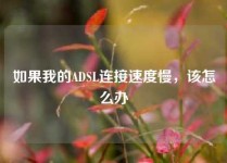 如果我的ADSL连接速度慢，该怎么办