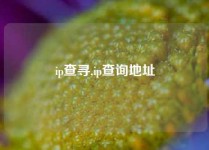 ip查寻,ip查询地址