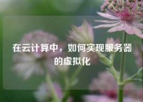 在云计算中，如何实现服务器的虚拟化