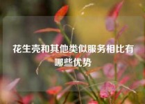 花生壳和其他类似服务相比有哪些优势