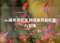 dns服务器配置,网络服务器配置与管理