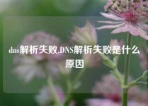 dns解析失败,DNS解析失败是什么原因