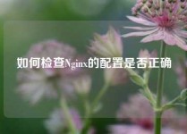 如何检查Nginx的配置是否正确