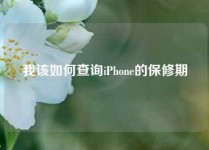我该如何查询iPhone的保修期