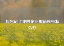 我忘记了我的企业邮箱账号怎么办