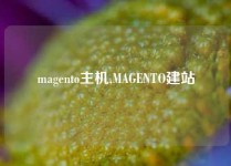 magento主机,MAGENTO建站
