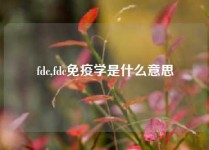 fdc,fdc免疫学是什么意思