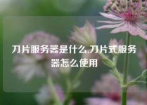 刀片服务器是什么,刀片式服务器怎么使用