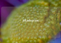 tel,telegram