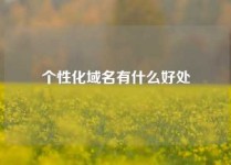个性化域名有什么好处