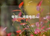 电信dns,河南电信dns