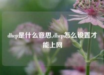 dhcp是什么意思,dhcp怎么设置才能上网