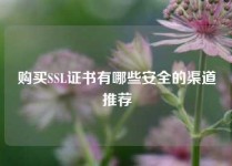购买SSL证书有哪些安全的渠道推荐