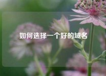 如何选择一个好的域名