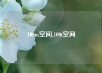 100m空间,100t空间