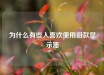 为什么有些人喜欢使用旧款显示器