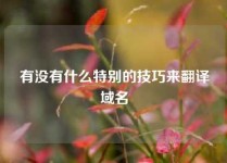 有没有什么特别的技巧来翻译域名