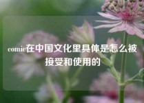 comic在中国文化里具体是怎么被接受和使用的