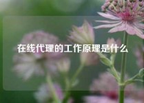 在线代理的工作原理是什么