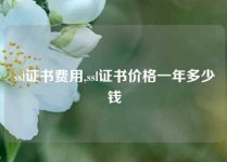 ssl证书费用,ssl证书价格一年多少钱