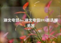 湖北电信dns,湖北电信DNS首选服务器