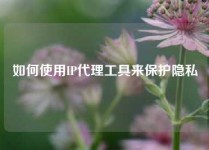 如何使用IP代理工具来保护隐私
