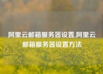 阿里云邮箱服务器设置,阿里云邮箱服务器设置方法