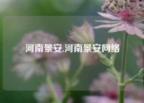 河南景安,河南景安网络