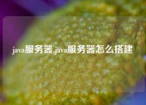 java服务器,java服务器怎么搭建