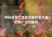 网站备案代理是否提供全天候的客户支持服务