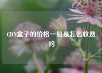 CDN盒子的价格一般是怎么收费的