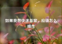 如果我想快速备案，应该怎么操作