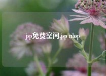 jsp免费空间,jsp nbsp