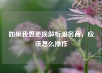 如果我想更换解析服务商，应该怎么操作