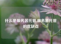什么是服务器托管,服务器托管的优缺点