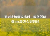 面对大流量攻击时，服务器防御100G是怎么做到的