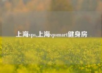 上海vps,上海vpsmart健身房