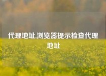 代理地址,浏览器提示检查代理地址