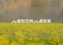 php虚拟空间,php虚拟机
