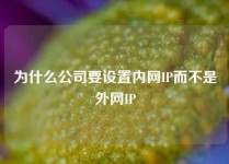 为什么公司要设置内网IP而不是外网IP