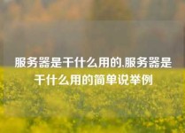 服务器是干什么用的,服务器是干什么用的简单说举例