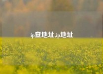 ip查地址,ip地址