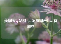 美国多ip站群vps,免费国产linux有哪些