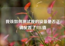 我该如何测试我的设备是否正确配置了TTL值