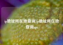 ip地址所在地查询,ip地址所在地查询api