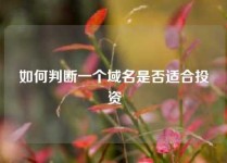 如何判断一个域名是否适合投资